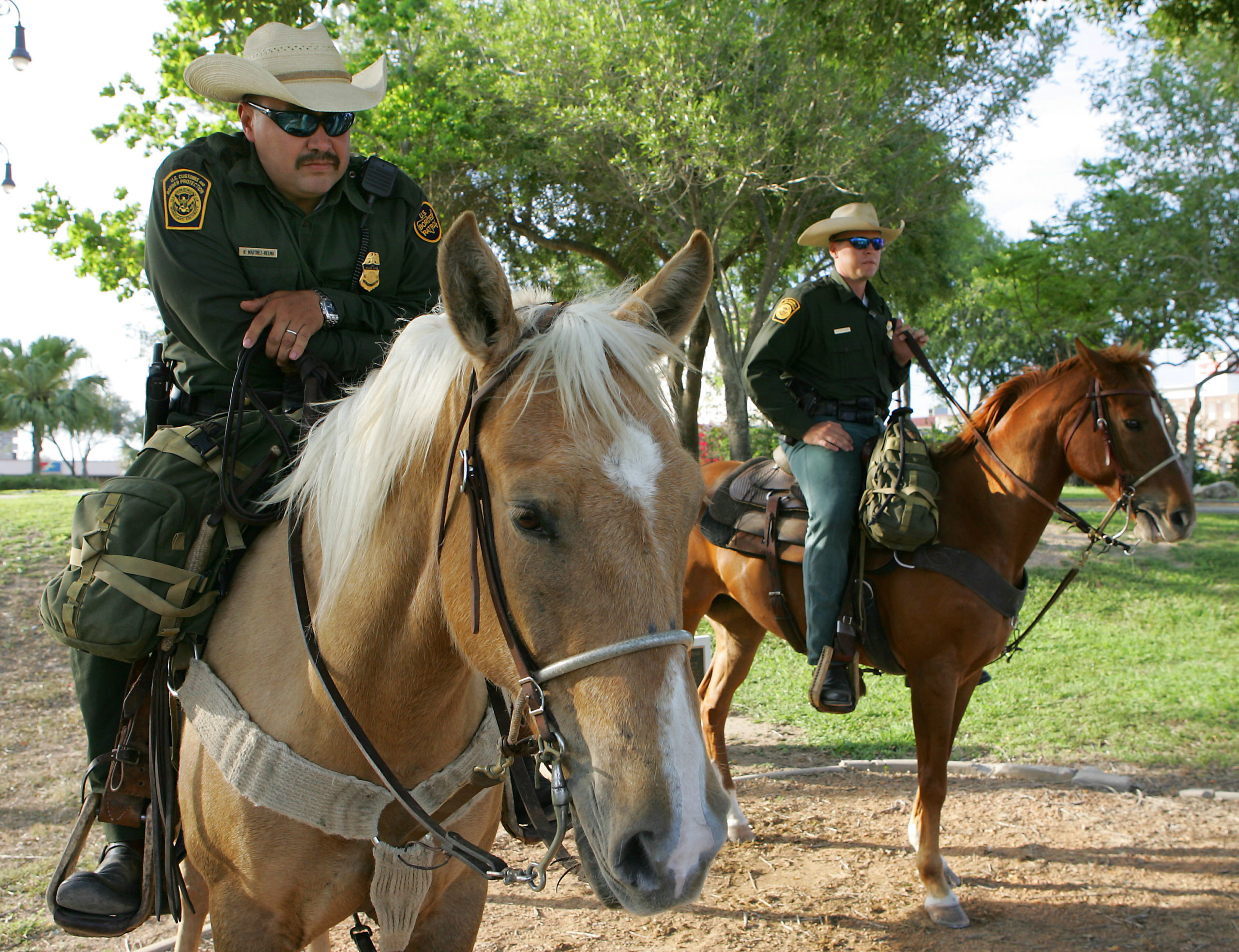 Cbp Border Patrol Agents Use Horses In The Most Severe Enviroments That Regular Vehicles Cannot Negotiate